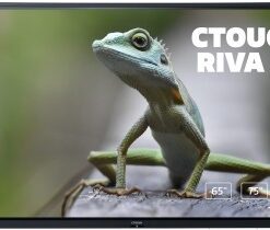 75 tuuman CTOUCH RIVA D2 -kosketusnäyttö, vihreä lisko näkyy näytöllä puisella pinnalla.
